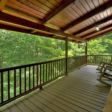 Champagne Chalet - Cuddleup Villa Morganton Екстериор снимка