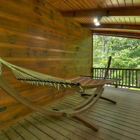 Champagne Chalet - Cuddleup Villa Morganton Екстериор снимка